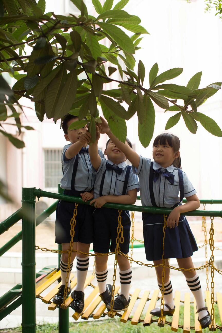 School Image 5